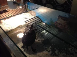 Akvaterárium s příslušenstvím